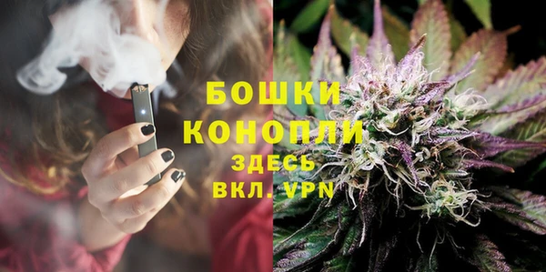 шишки Абинск