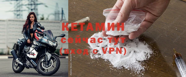 шишки Абинск