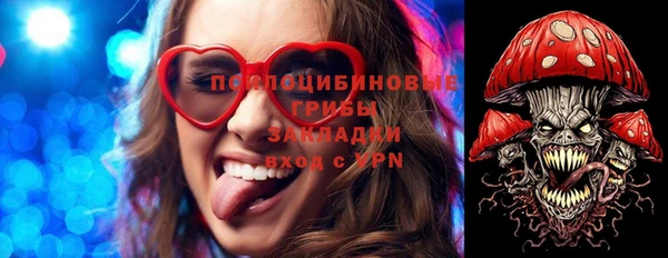 сатива Алексин