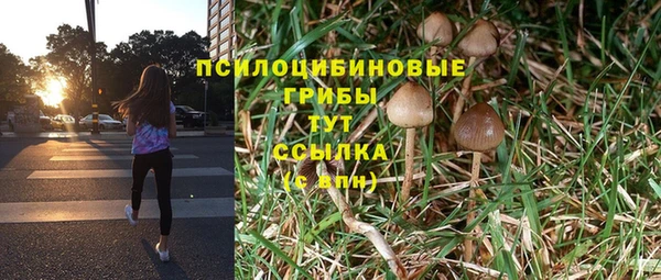тгк Алзамай