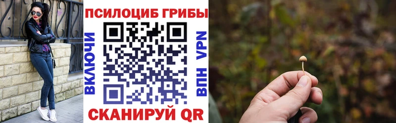 Псилоцибиновые грибы мухоморы Кочубеевское